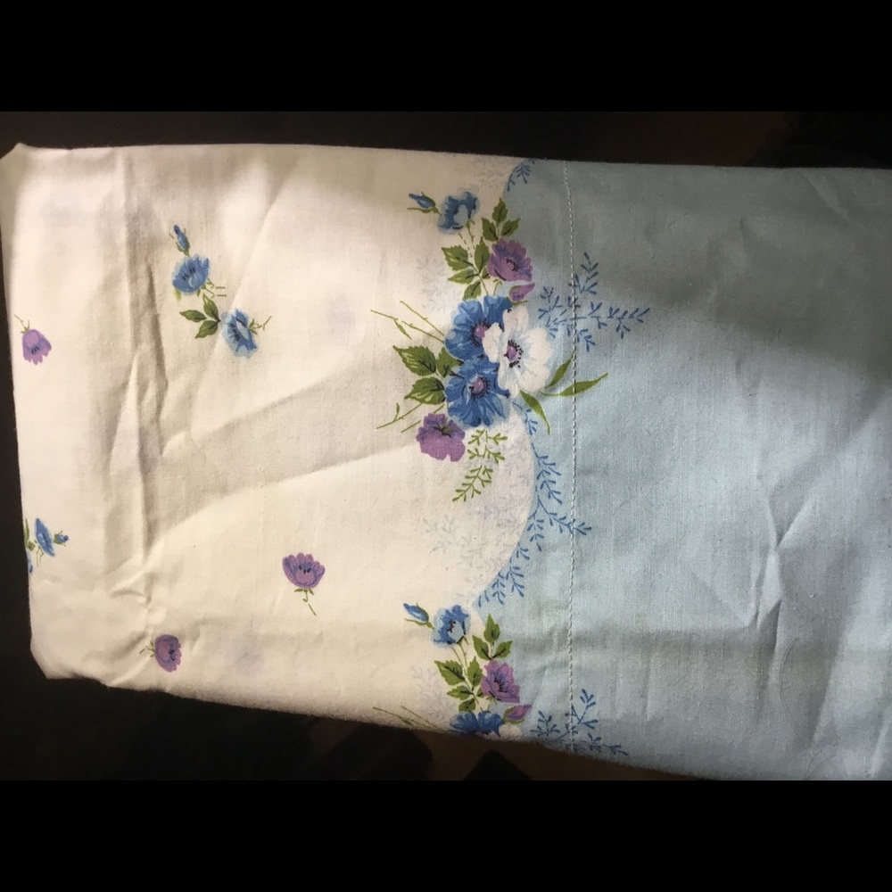 Pair Pillow shams/cases